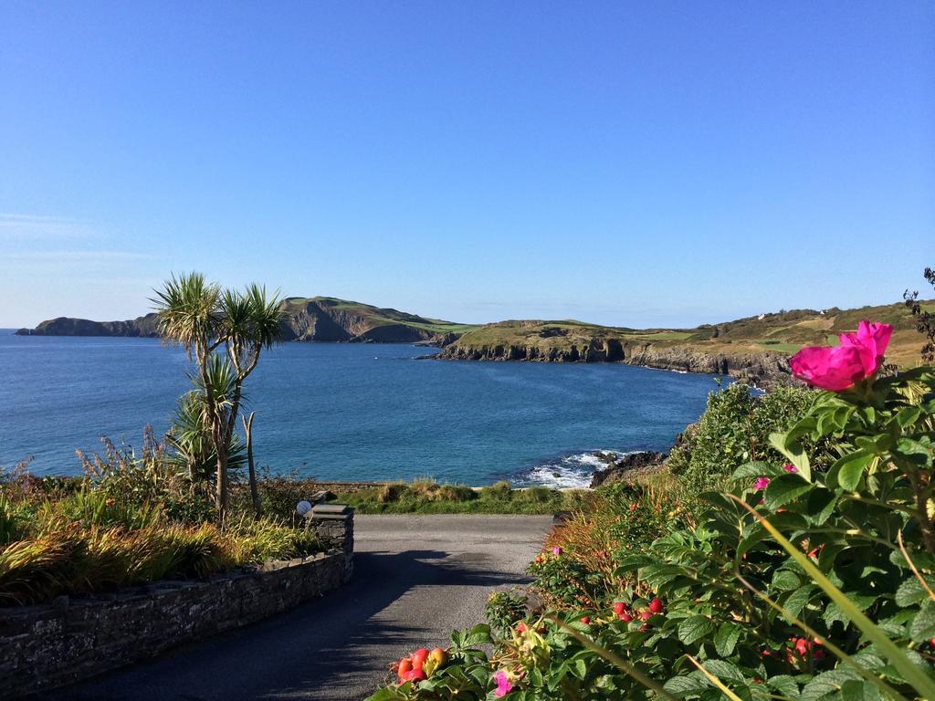 Sandycove House Bed & Breakfast Bed & Breakfast Castlehaven ห้อง รูปภาพ